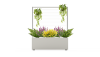 divider 120 cm front view with plants with background