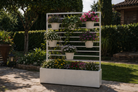 divider with plants